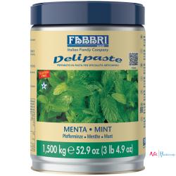 Fabbri Munt groen pasta - Menta verde (1.5 Kg)
