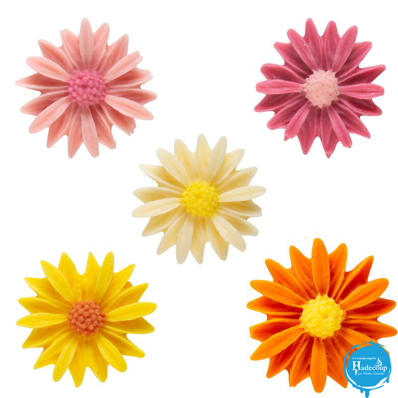 Cargill - Leman LM61060 - Flowers 5 colors 2,5 cm (120 Pcs) (LM61060)