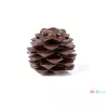 Cargill - Leman LM12065 - Pine cone 2,5x2,8 cm (24 Pcs) (LM12065)